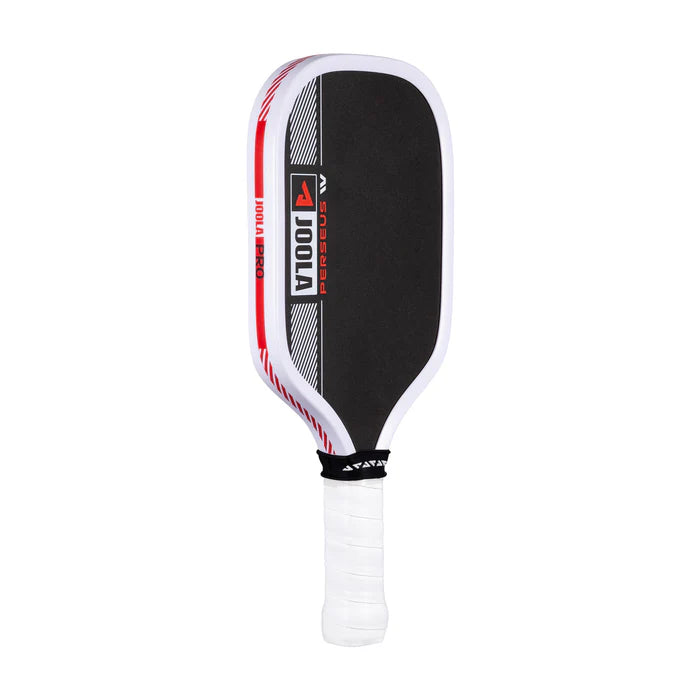 JOOLA Pro IV Mini Paddle