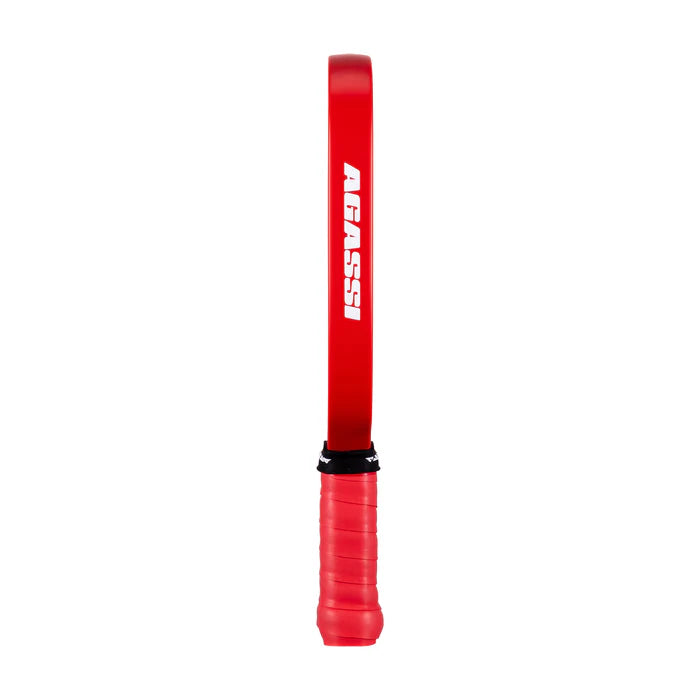 JOOLA Pro IV Mini Paddle
