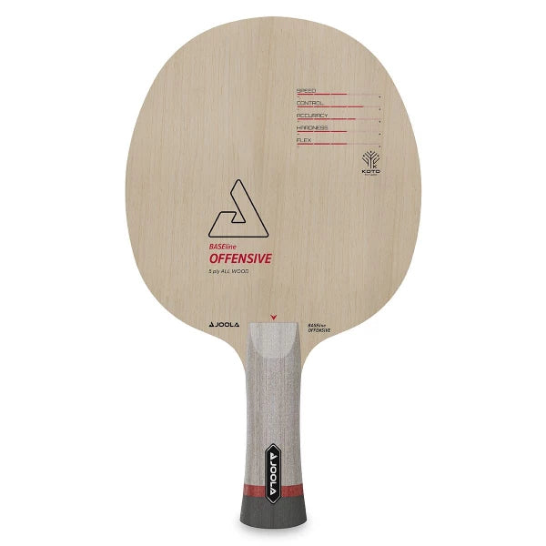 JOOLA Frame BASEline OFF