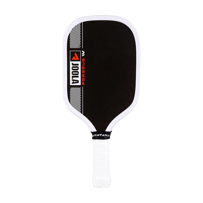 JOOLA Pro IV Mini Paddle